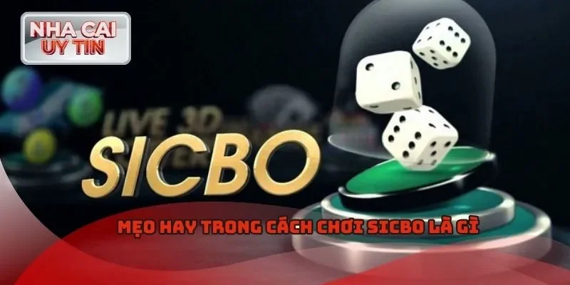 Mẹo hay trong cách chơi Sicbo là gì
