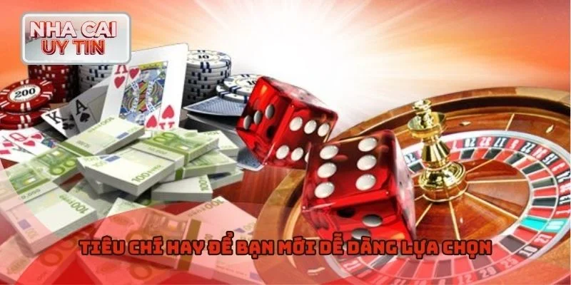 Tiêu chí hay để bạn mới dễ dàng lựa chọn