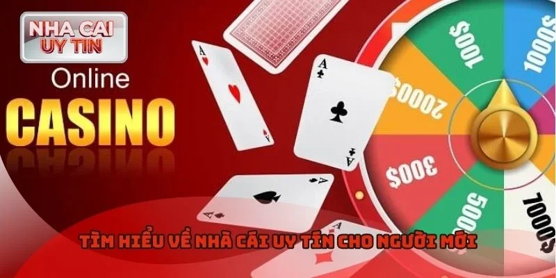 Tìm hiểu về nhà cái uy tín cho người mới