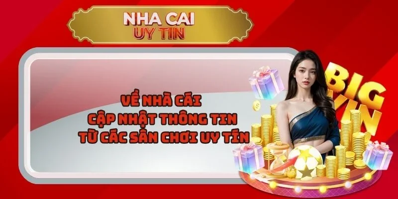 Về Nhà Cái – Cập Nhật Thông Tin Từ Các Sân Chơi Uy Tín 
