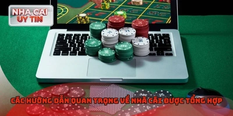 Các hướng dẫn quan trọng về nhà cái được tổng hợp